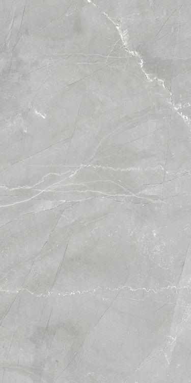 Luxury Amani Grey Matte 12 x 24
